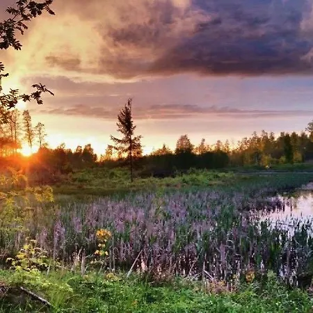Ligatnes Zemturi Augšlīgatne